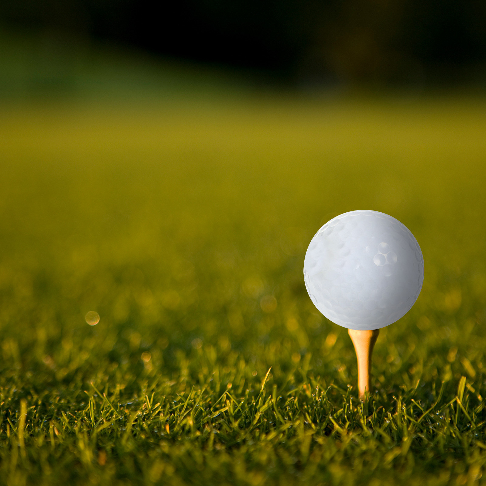 Golf Equipment Beginners - Equipo de bolas de golf para