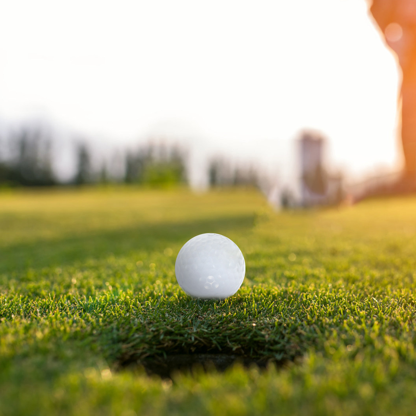 Equipo de bolas de golf para p - Golf Equipment Beginners reseña y precio